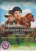 Kde roste červené kapradí (DVD) (2003) (Where the Red Fern Grows) - pošetka