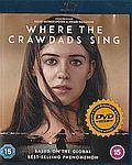 Kde zpívají raci (Blu-ray) (Where the Crawdads Sing)