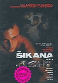 Šikana (DVD) (Bully)
