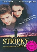 Střípky vzpomínek (DVD) (Bumblebee Flies Anyway) - pošetka