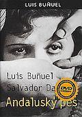 Andaluský pes (DVD) (Un chien andalou)