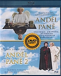 andel_pane1_2_BdP.jpg