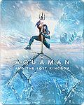 Aquaman a ztracené království (Blu-ray+DVD Combo pack) - steelbook - motiv Ice (Blu-ray) (Aquaman and the Lost Kingdom)