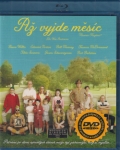 Až vyjde měsíc (Blu-ray) (Moonrise Kingdom) - vyprodané