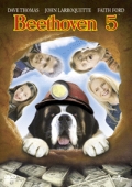Beethoven 5 (DVD) - CZ Titulky
