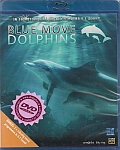 Blue Move Dolphins (Blu-ray) (Blue Move Dolphins)