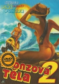 Bronzová těla 2 (DVD) (Abbronzatissimi 2 - un anno dopo)