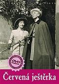Červená ještěrka (DVD) - pošetka