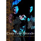 Concrete Blonde - Still in Hollywood: The Videos (DVD)