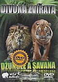 Divoká zvížata (DVD)