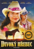 Divoký hřebec (DVD) (Wild Stallion)