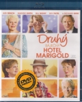 Druhý báječný hotel Marigold (Blu-ray) (Best Exotic Marigold Hotel)
