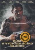 Dům u vycházejícího slunce (DVD) (House of Rising Sun)