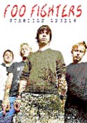Foo Fighters - Guardian Angels (DVD)