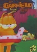 Garfield (DVD) 18 (Garfield show)