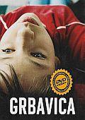 Grbavica (DVD) (Esmas Geheimnis - Grbavica)