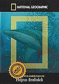 Hejno žraloků (DVD) (Shark Swarm)
