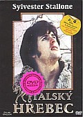 Italský hřebec (DVD) (Italian Stallion)