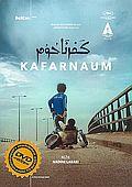Kafarnaum (DVD) (Capernaum)