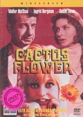 Kaktusový květ (DVD) (Cactus Flower)