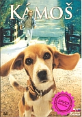 Kámoš 1 (DVD) (Shiloh) - pošetka