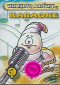 Karaoke - Moje první písničky - 1 [DVD]