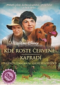 Kde roste červené kapradí (DVD) (2003) (Where the Red Fern Grows)