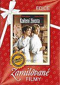 Koření života (DVD) (No Reservations) - edice zamilované filmy