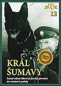 Král Šumavy (DVD) - pošetka
