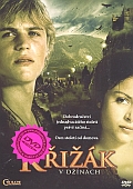 Křižák v džínách (DVD) (Crusade in Jeans)