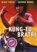 Kung-fu bratři (DVD) (Za jia xiao zi)
