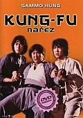 Kung-fu nářez (DVD) (Lin shi rong)