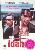 Mé soukromé Idaho (DVD) (My Own Private Idaho)
