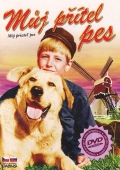 Můj přítel pes (DVD) (Dog of Flanders)