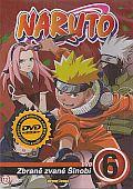 Naruto 6 (DVD)