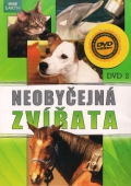 Neobyčejná zvířata 2 (DVD) (Extraordinary Animals)