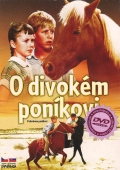 O divokém poníkovi (DVD) (Misty)