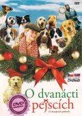 O dvanácti pejscích (DVD) (12 Dogs of Christmas)