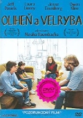 Oliheň a velryba (DVD) (Squid nad the Whale)