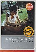 Pásla kone na betóne (DVD)