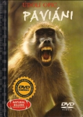Paviáni - údolí opic (DVD) + kniha