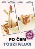 Po čem touží kluci (DVD) (All Over the Guy)
