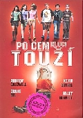 Po čem kluci touží? (DVD) (College) - pošetka