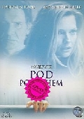 Pod povrchem (DVD) - dabing (What Lies Beneath) - vyprodané