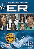 Pohotovost - season 14 (DVD) (ER) - bez CZ podpory