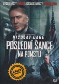 Poslední šance na pomstu (DVD) (Dying of the Light)