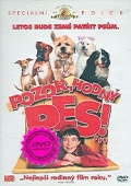 Pozor hodný pes! (DVD) (Good Boy!)
