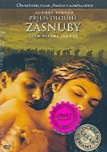 Příliš dlouhé zásnuby 2x(DVD) (Un long dimanche de fiançailles)