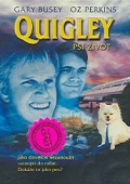 Psí život (DVD) (Quigley)
