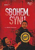 Sbohem, synu (DVD) (So Long, My Son)